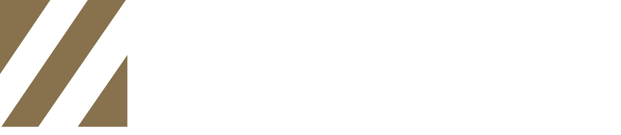 Ассоциация налоговых консультантов